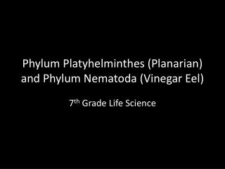 Phylum Platyhelminthes (Planarian) and Phylum Nematoda (Vinegar Eel)