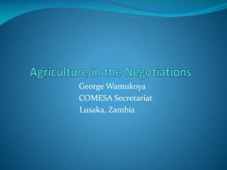 Agriculture in the Negotiations