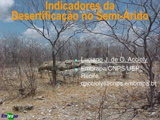 Indicadores da Desertificação no Semi-Árido