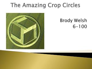 The Amazing Crop Circles