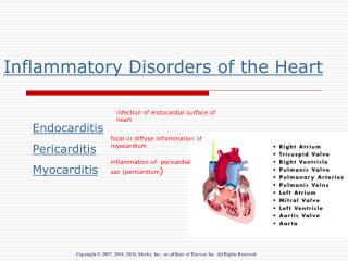 Inflammatory Disorders of the Heart