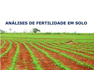 ANÁLISES DE FERTILIDADE EM SOLO Microbiológica da água