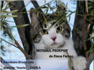 MOTANUL PEDEPSIT de Elena Farago