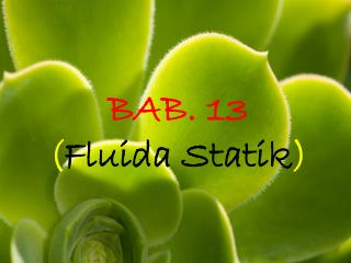 BAB. 13 ( Fluida Statik )