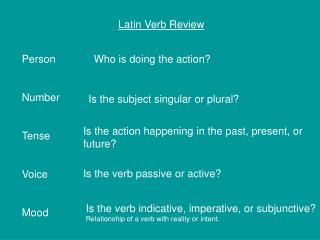 Latin Verb Review