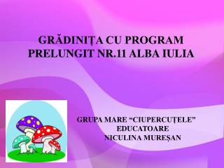 GR ĂDINIȚA CU PROGRAM PRELUNGIT NR.11 ALBA IULIA