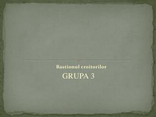 Bastionul croitorilor GRUPA 3