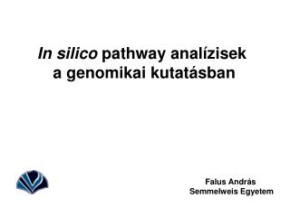 In silico pathway analízisek a genomikai kutatásban