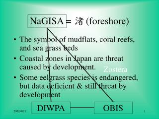 NaGISA = 渚 (foreshore)