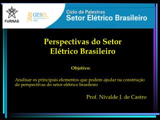 Perspectivas do Setor Elétrico Brasileiro