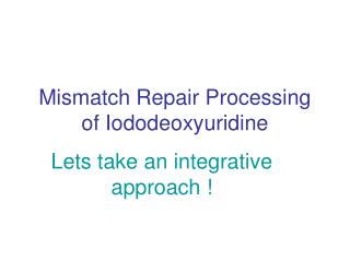Mismatch Repair Processing of Iododeoxyuridine
