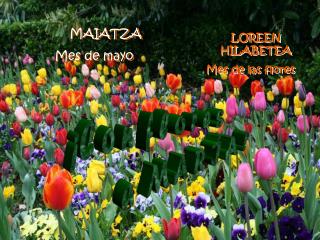 MAIATZA Mes de mayo