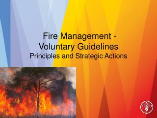 Fire Management - Voluntary Guidelines Principles and Strategic Actions