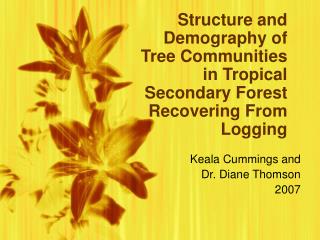 Structure and Demography of Tree Communities in Tropical Secondary Forest Recovering From Logging