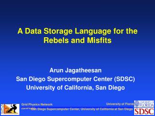 A Data Storage Language for the Rebels and Misfits