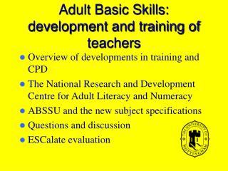 Adult Basic Skills: development and training of teachers