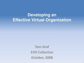 Developing an Effective Virtual Organization