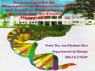 Profa. Dra. Ana Elizabete Silva	 Departamento de Biologia