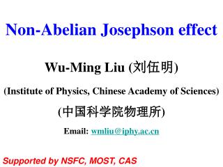 Non-Abelian Josephson effect