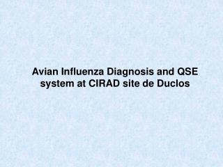 Avian Influenza Diagnosis and QSE system at CIRAD site de Duclos