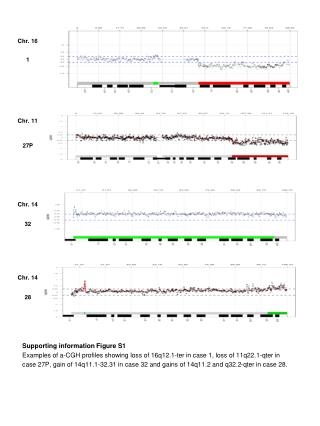 Supporting information Figure S1