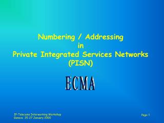 Numbering / Addressing in Private Integrated Services Networks (PISN)