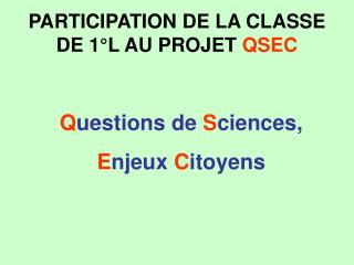 PARTICIPATION DE LA CLASSE DE 1°L AU PROJET QSEC