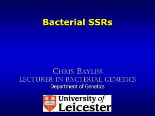 Bacterial SSRs
