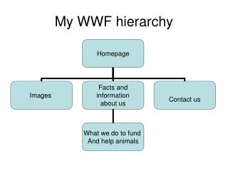 My WWF hierarchy