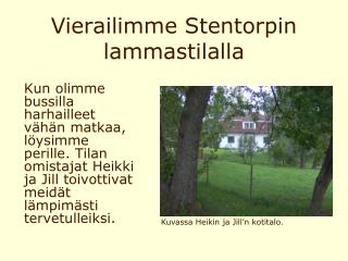 Vierailimme Stentorpin lammastilalla