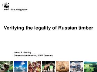 Verifying the legality of Russian timber