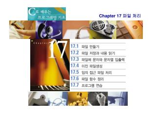 Chapter 17 파일 처리