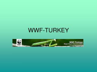 WWF-TURKEY