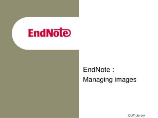 EndNote : Managing images