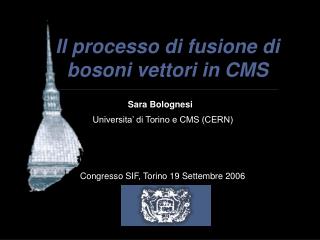 Il processo di fusione di bosoni vettori in CMS