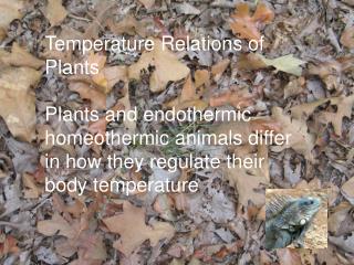 Temperature Relations of Plants
