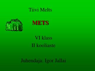Tiivi Melts METS