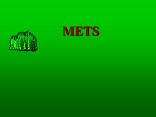 METS