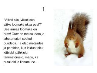 “Vilksti siin, vilksti seal väike loomake oksa peal?” See armas loomake on