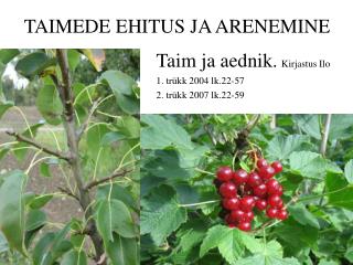 TAIMEDE EHITUS JA ARENEMINE