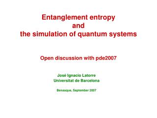 Entanglement entropy and the simulation of quantum systems Open discussion with pde2007