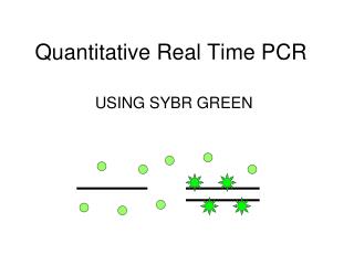 Quantitative Real Time PCR