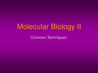 Molecular Biology II