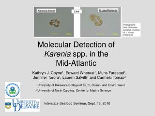 Molecular Detection of Karenia spp. in the Mid-Atlantic