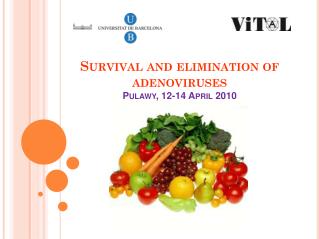 Survival and elimination of adenoviruses Pulawy , 12-14 April 2010