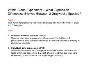 Within-Clade Experiment – What Expression Differences Evolved Between 2 Greywacke Species?