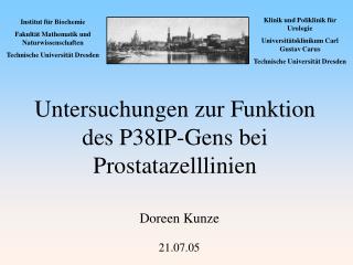 Untersuchungen zur Funktion des P38IP-Gens bei Prostatazelllinien
