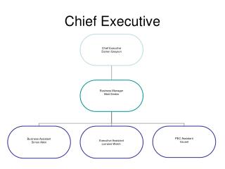 Chief Executive