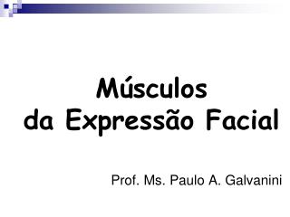 Músculos da Expressão Facial