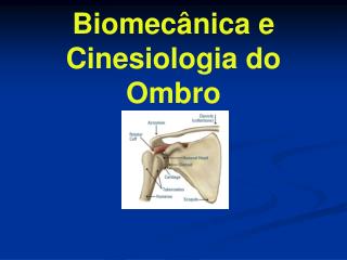 Biomecânica e Cinesiologia do Ombro